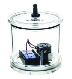 Bell jar with battery buzzer