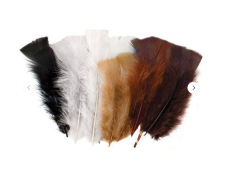 Feathers, assorted (240pc), 60gr