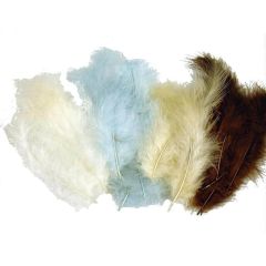 Feathers Natural Coloured 50 per bag