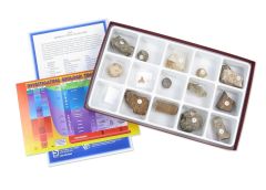 Fossils collection, 15 piece