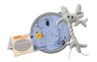 GIANT Microbes-Brain