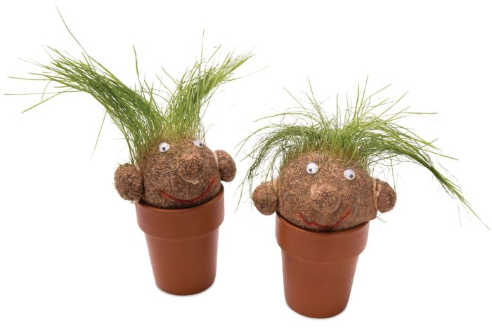 Pot Head - Magic Plant | Science First