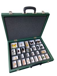 Animal Kingdom Set | Science First